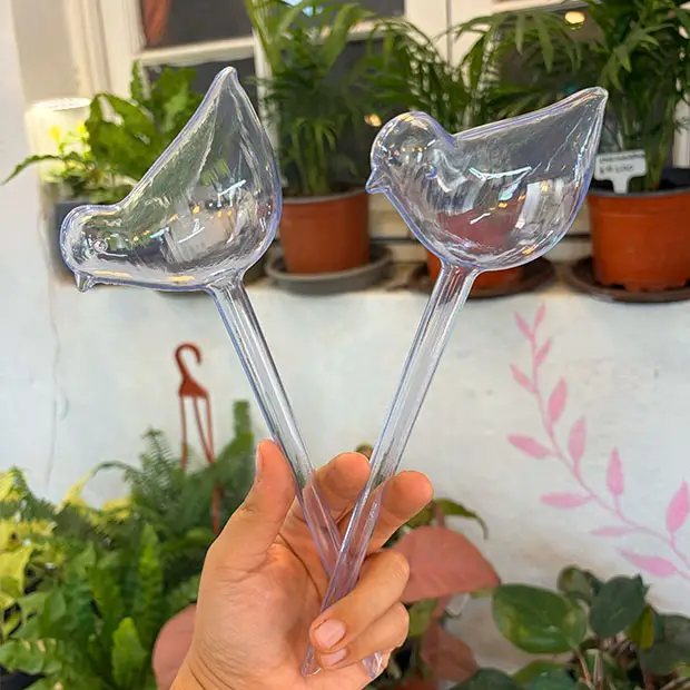 Pajarito Autoregante