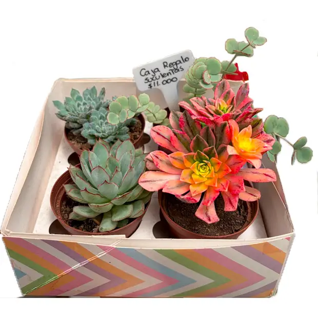 Caja de regalo