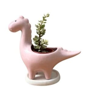 Macetero Cerámica Dinosaurio