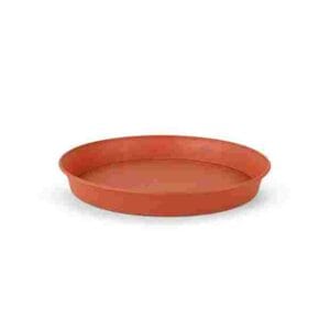 Platos plásticos