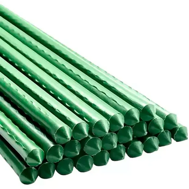 Tutor verde